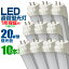 ֡48hꡪ5%OFFݥۡ10ܥåȡLEDָ 20W LEDָ 20W ľ LED ָ 20W ľ ָ 20 LEDָ 20W ľ LEDָ 58cm LEDָ ľ 20W LEDָ ľ 20W  LED饤  ̵פ򸫤