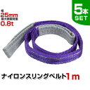 【最大400円OFFクーポン】【5本セット】スリングベルト 1m 幅25mm 使用荷重800kg 玉掛け ナイロンスリング 0.8t 高品質 ベルトスリング ナ...