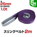 【期間限定クーポン配布中】【5本セット】スリングベルト 2m 幅25mm 使用荷重1000kg 玉掛け ナイロンスリング 1t 高品質 ベルトスリング ナイロンスリングベルト 繊維ベルト 吊ベルト 荷吊りベルト ロープ 牽引 クレーンロープ クレーンベルト 運搬 送料無料