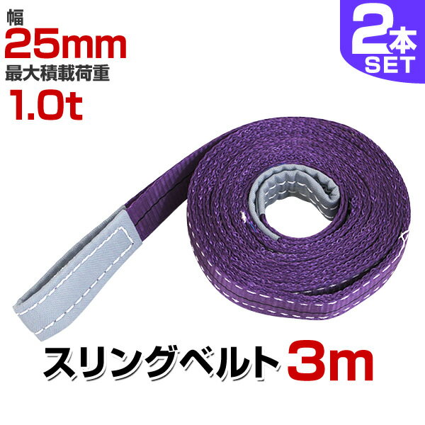 【クーポン最大400円OFF★】【2本セット】スリングベルト 3m 幅25mm 使用荷重1000kg 玉掛け ナイロンスリング 1t 高品質 ベルトスリング ナイロンスリングベルト 繊維ベルト 吊ベルト 荷吊りベルト ロープ 牽引 クレーンロープ クレーンベルト 送料無料