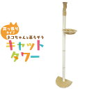 【本日限定クーポンで最大10%OFF】キャットタワー 突っ張り スリム 省スペース 高さ240~250cm ベージュ ハンモック 爪とぎ 麻ひも おもちゃ ベッ...