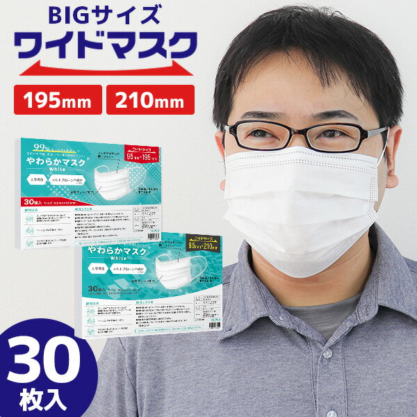 【数量限定価格】【送料無料】【99%カット】マスク 不織布 大きめ 不織布マスク 超大きいサイズ 195mm 210mm 男性用マスク 大顔専用マスク メンズサイズマスク マスク大きめ 使い捨てマスク 30枚 3層構造 平ゴム 耳が痛くならない 白 ホワイト ウイルス 飛沫防止 送料無料