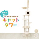 【本日限定クーポンで最大10%OFF】キャットタワー 突っ張り式 爪とぎ付き スリム ポール おもちゃ付き コンパクト 2麻 麻紐 省スペース 多頭 大きい猫 ...