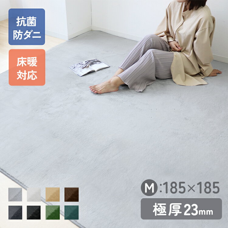 【SS限定価格】【抗菌 防ダニ】ラグ ラグマット 北欧 低反発ラグ 滑り止め 185×185cm 2畳用 極厚23mm 防音マット ホットカーペット対応 マット ラグ 厚手 カーペット シャギーラグ モダン 低反発 おしゃれ 冬用 夏用 新生活 送料無料