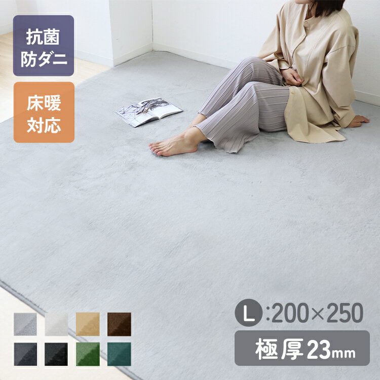 【送料無料】【抗菌 防ダニ】ラグ ラグマット 北欧 低反発ラグ 滑り止め 200×250cm 3畳用 極厚23mm 防音マット ホットカーペット対応 マット ラグ 厚手 カーペット シャギーラグ モダン 低反発 おしゃれ 冬用 夏用 新生活 送料無料