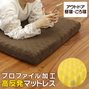 マットレス 高反発 コンパクト ごろ寝マット 60×180cm 厚さ6cm 高反発プロファイル マルチマットレス 車中泊 マット 寝具 キャンプ用品 座布団 お昼寝マット デコボコ 凹凸 ゴロ寝 ロングクッション 送料無料 R10P