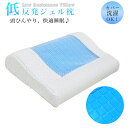 【最大500円OFFクーポン】ひんやり