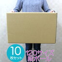 【最大2000円OFFクーポン】【10枚セット】【日本製】ダンボール 段ボール 120サイズ (510×360×320) 10枚 茶色 ダンボール 引越し ダン...
