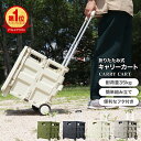 【4/25限定 10%OFFクーポン】【楽天1位】キャリーカート 折りたたみ 軽量 台車 フタ付 耐荷重35kg コンパクト 2輪キャスター付 灯油 キャリー カート コンテナカート 折り畳み台車 荷