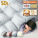 【本日限定クーポンで10%OFF】日本製 羽毛布団 セミダブル 暖かい ホワイトダックダウン 93% 暖か 30マス立体キルト ロイヤルゴールドラベル ダウンパ...