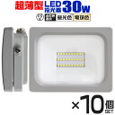 LED 投光器 30W LED投光器 昼光色 電球色 IP65 広角120度 ledライト LED投光機 看板灯 集魚灯 作業灯 舞台照明 屋内 屋外 照明 ポータブル投光器 防水加工 ACコード付 送料無料