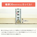 【クーポン最大400円OFF】極厚20mm 1級防音 ジョイントマット 大判 60cm 3畳 6畳 12畳 サイドパーツ付 プレイマット カラフル 単色 床暖房対応 抗菌 防臭 PE フロアマット キッズマット カーペット 断熱 キッズ マット ベビーマット 赤ちゃん ジョイント 送料無料 3