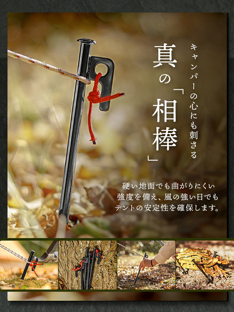 【クーポンで最大10%OFF】2026モデル ペグ スチール 30cm 12本 ペグセット 軽量 さびにくい 頑丈 炭素鋼製 収納袋 反射ロープ付き キャップ タープペグ テントペグ アウトドア タープ テント キャンプ 設営 山登り 登山 アウトドア weiwei-10024543 GARAGE COLLECTION サンプル画像3