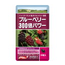 ブルーベリー300倍パワー ボイセンベリー サプリメント ポリフェノール エラグ酸 栄養機能食品 31粒入 1ヶ月分