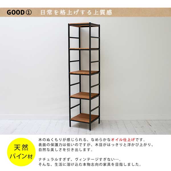 オープンラック 5段 シェルフ 幅40cm 奥行40cm 天然木 アイアン BRICK バーティカルライン PRU-4040175 [2]