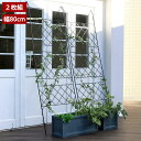 アイアン製グリーンカーテン 幅80cm 2枚組 アーガイル Argyle IFGC011-2P-BLK