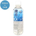 酸素inウォーター 酸素イン水 500ml×24本 酸素不足解消 溶存酸素48ml/L充填 ミネラルウォーター 高賀の森水 奥長良川名水