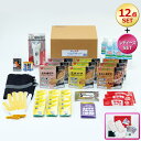 3DAYS 防災備蓄セットDX-L デラックス12点セット+レディースセット アルファプラエイド 救援物資が届くまでの3日間 BBS-DX-L