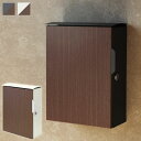 壁掛けポスト Piera ピエラ 鍵付き コンパクトサイズ 錆びにくいガルバナイズド処理 WM-073/WM-074 MOJYU