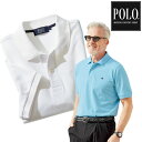 ポロ・ビーシーエス POLO BCS 鹿の子ポロシャツ カジュアルシャツ ブリティッシュテイスト 春夏秋 メンズ 40代 50代 60代 958261