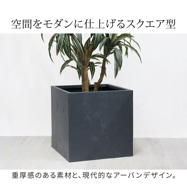 �ޥ��ͥ����ץ�󥿡� TEXTURE �ѷ�50cm �ޥ��ͥ����������� TEX-500C