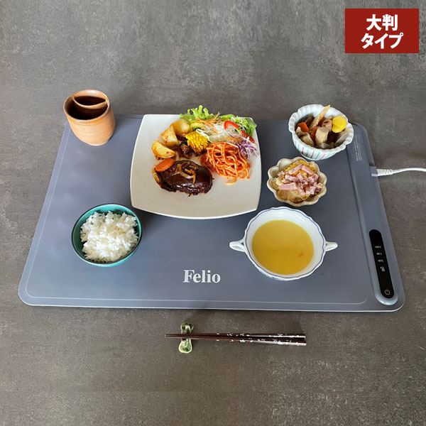 Felio フードウォーマー 大判タイプ 60度 80度 100度 常温保温 食品保温プレート 電気保温プレート BW601