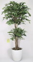 アートグリーン フェイクグリーン 人工観葉植物 光触媒 光の楽園 トロピカルベンジャミン1.8 162K600