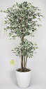 アートグリーン 人工観葉植物 光触媒 光の楽園 トロピカルベンジャミン斑入り1.6 166K480