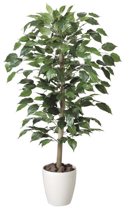 アートグリーン 人工観葉植物 光触媒 光の楽園 ベンジャミン1.0 200A150