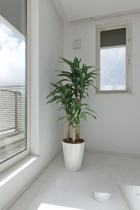 アートグリーン 人工観葉植物 光触媒 光の楽園 幸福の木1.6 400P350