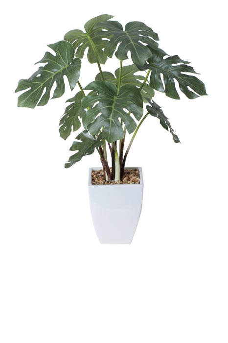 アートグリーン 人工観葉植物 光触媒 光の楽園 モンステラポット 433A60