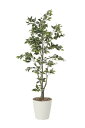 アートグリーン 人工観葉植物 光触媒 光の楽園 フィカスツリー1.8 822K400