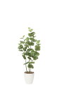 アートグリーン 人工観葉植物 光触媒 光の楽園 シーグレープ1.2 870K160