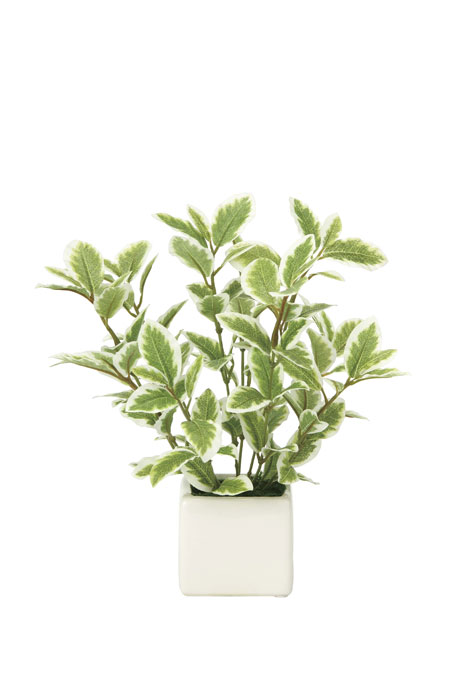 アートグリーン 人工観葉植物 光触媒 光の楽園 ミニリーフG／W 935K28