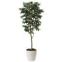 アートグリーン フェイクグリーン 人工観葉植物 光触媒 光の楽園 アルデシア(万両)1.6 2034A300