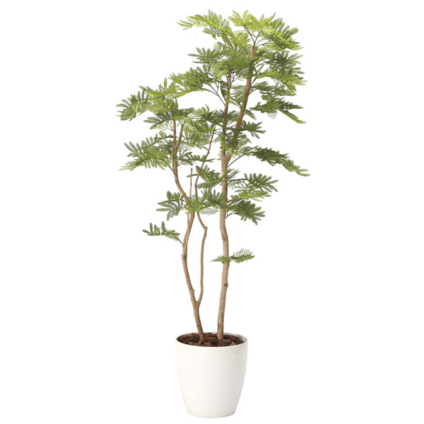 アートグリーン フェイクグリーン 人工観葉植物 光触媒 光の楽園 ねむの木1．6（ポリ製） 2105A360