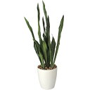 アートグリーン フェイクグリーン 人工観葉植物 光触媒 光の楽園 サンセベリア ポリ製 219K120