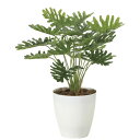 アートグリーン フェイクグリーン 人工観葉植物 光触媒 光の楽園 フレッシュクッカバラ 2216A50