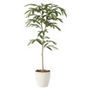 アートグリーン フェイクグリーン 人工観葉植物 光触媒 光の楽園 アムステルラバーキング1.8 2248A360