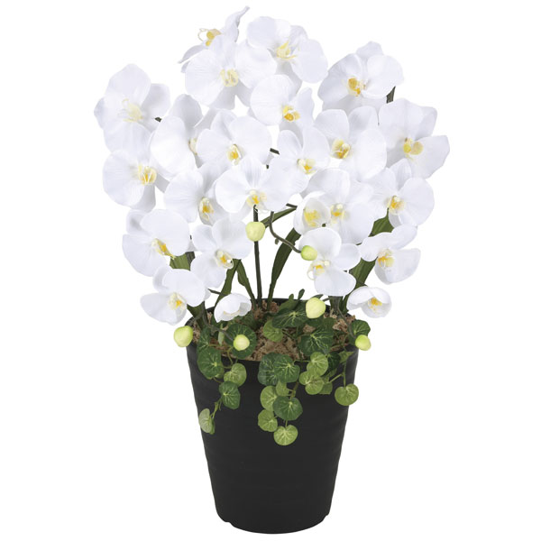 アートフラワー 造花 光触媒 光の楽園 プリンセス胡蝶蘭W 2266K60