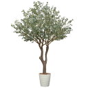 アートグリーン フェイクグリーン 人工観葉植物 光触媒 光の楽園 ユ—カリ3.2 組立式 2122A5000