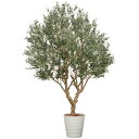 アートグリーン フェイクグリーン 人工観葉植物 光触媒 光の楽園 DXオリーブ2.5 組立式 2123A4800