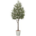アートグリーン フェイクグリーン 人工観葉植物 光触媒 光の楽園 オリーブ3.2 組立式 2124A3500