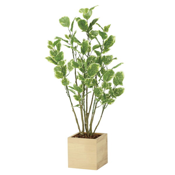 アートグリーン フェイクグリーン 人工観葉植物 光触媒 光の楽園 ウッドボックスポリシャス1．0 2308A220