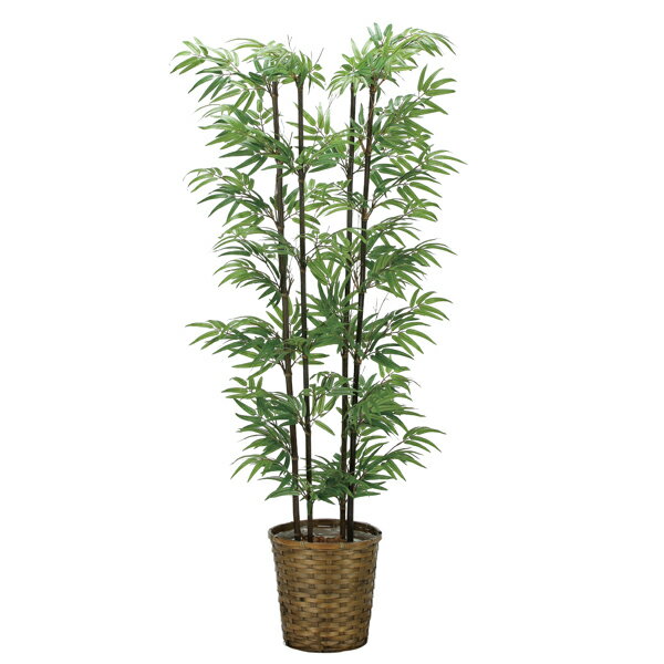 アートグリーン フェイクグリーン 人工観葉植物 光触媒 光の楽園 黒竹1．6　幹：天然黒竹 2315A300