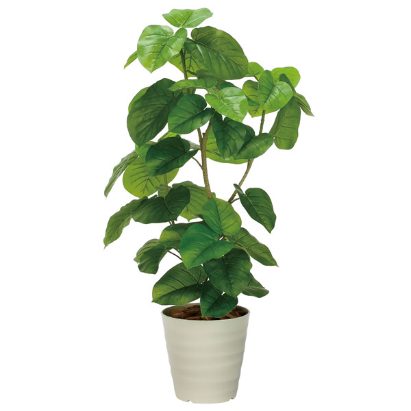 アートグリーン フェイクグリーン 人工観葉植物 光触媒 光の楽園 フレッシュDXウンベラータ1．3 2327A480