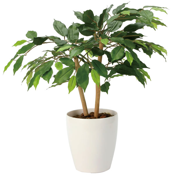 アートグリーン フェイクグリーン 人工観葉植物 光触媒 光の楽園 ショートベンジャミン60 2344A100