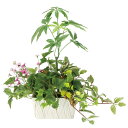 アートグリーン フェイクグリーン 人工観葉植物 光触媒 光の楽園 寄せ植えパキラ 2347A100