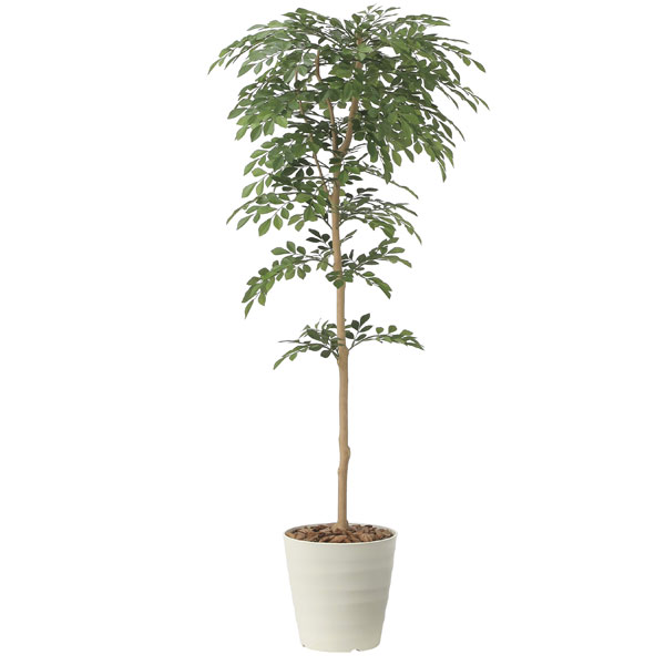 アートグリーン フェイクグリーン 人工観葉植物 光触媒 光の楽園 トネリコ1.3 2421P290