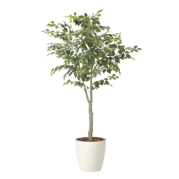 アートグリーン フェイクグリーン 人工観葉植物 光触媒 光の楽園 フィカスツリー1.85(組立式) 2438A430